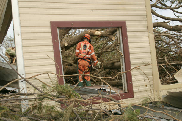 How Our Tree Care Process Works  in  Yarmouth Port, MA